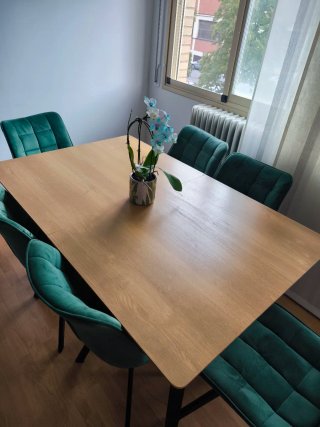 Mesa comedor y 6 sillas terciopelo verde.