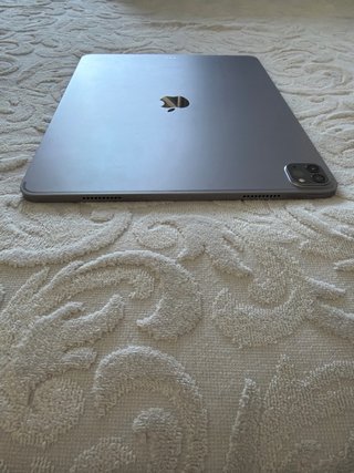 IPad Pro 12,9” 6.a Gen M2 256GB Wifi Gris Espacial