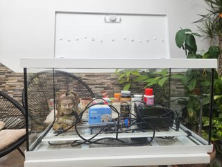 Pecera casi nueva + accesorios
