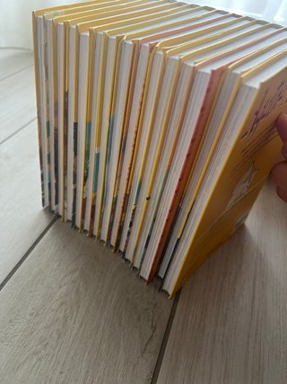 Collana libri per ragazzi “Agatha Mistery”