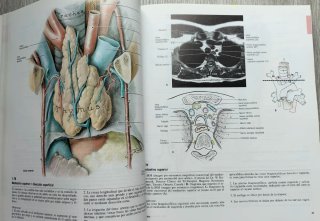 Atlas de Anatomía, Grant