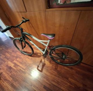 Bicicleta de Montaña Aluminio