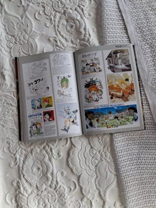 Lote The promised neverland anime y manga