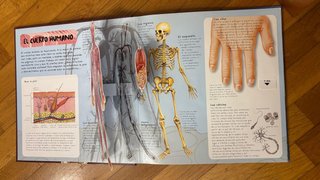 El cuerpo humano Un libro en 3D