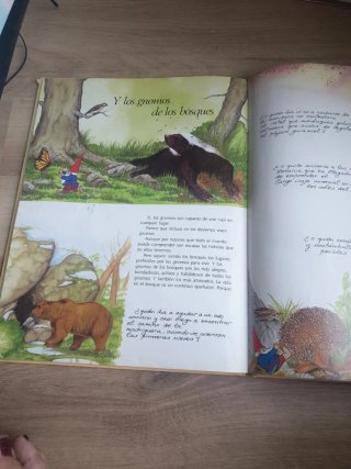 La Ciencia de los gnomos
