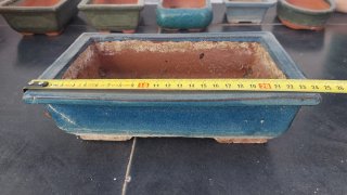 Lote de macetas para bonsai