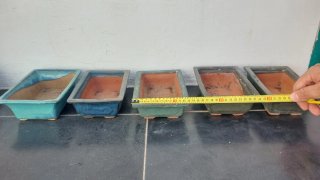Lote de macetas para bonsai
