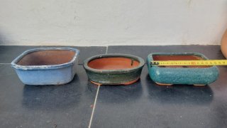 Lote de macetas para bonsai