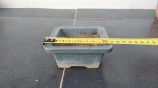 Lote de macetas para bonsai