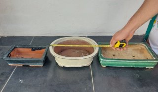 Lote de macetas para bonsai
