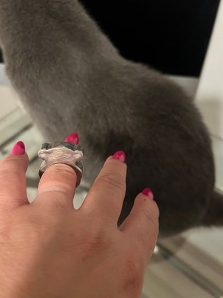 Anillo Tous Plata