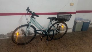 Bicicleta Paseo Riverside Gris Claro
