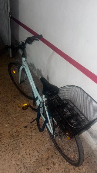 Bicicleta Paseo Riverside Gris Claro