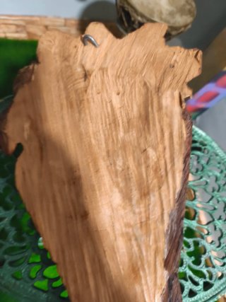 Busto Tronco Bob Marley