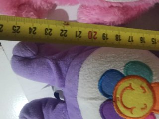 Peluche Care Bears Osos amorosos