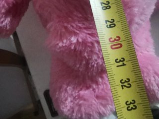 Peluche Care Bears Osos amorosos