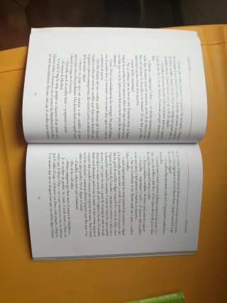 Curial i Güelfa