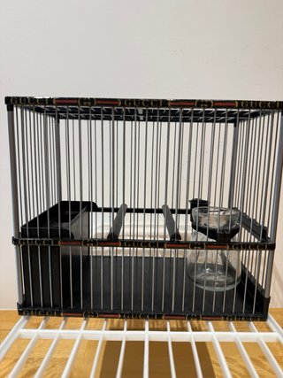 Jaula C2 Personalizada Gucci