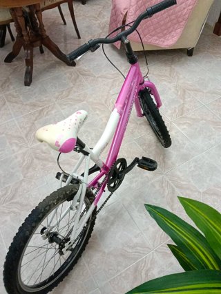 Bicicleta Niña JL Wendi Rosa