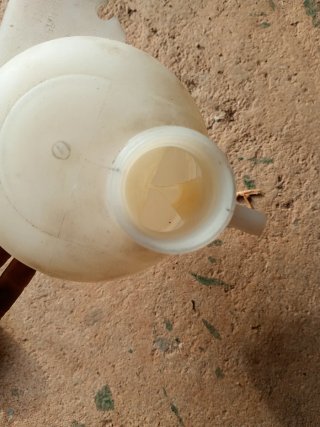 Vaso expansión Renault Clio