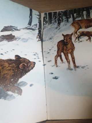 Animales de la Monta@a