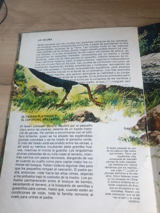 Animales de la Monta@a