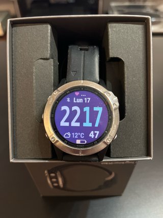 Garmin fenix 6 Silver