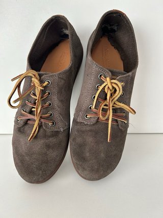 Zapatos de ante Pompeo hombre marrones