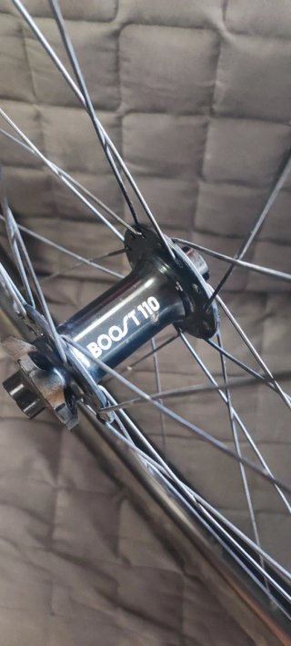 Rueda Delantera 29er Boost