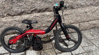Bici Orbea Grow1 16"