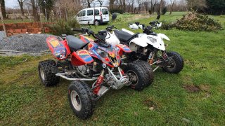 QUAD POLARIS PREDATOR 500 TROY LEE