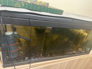 Acuario completo con plantas