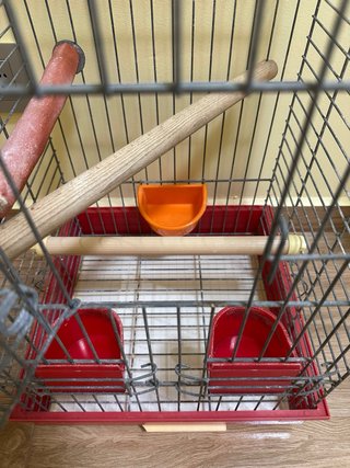 Jaula para pájaros/loros gris y roja