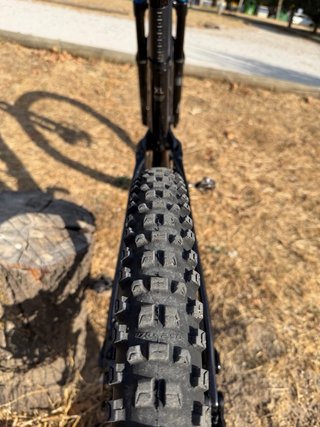 Amflow PX Carbon XL AVINOX M2S