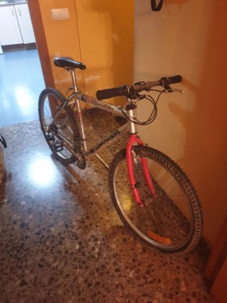 Bicicleta de Montaña