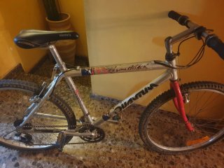 Bicicleta de Montaña