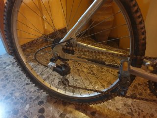 Bicicleta de Montaña
