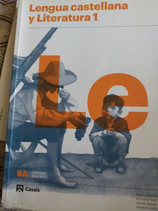 Lengua castellana y literatura 1, Le Bachillerato