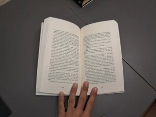 Pulpos en un garaje