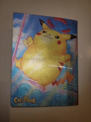 Album de Pokemon
