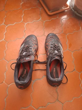 Botas de Fútbol Adidas Predator Pro FG