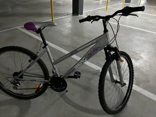 Bicicleta montaña Berg Sportcross 1.0 plateada