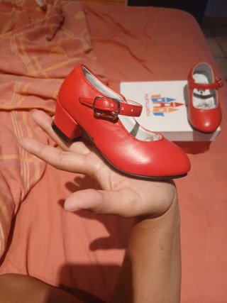 Zapatos de Flamenco