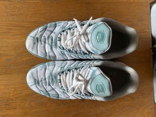Nike TN palm