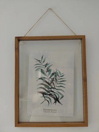 Juego 3 cuadros decorativos plantas
