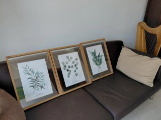 Juego 3 cuadros decorativos plantas