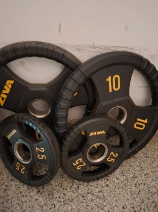 2 Discos ZIVA Performance 2.5kg
