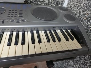 Teclado Casio WK-1800