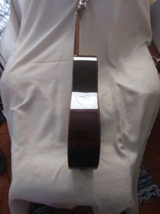 Guitarra Alhambra 3C, más funda  protec acolchada.