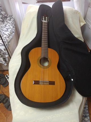 Guitarra Alhambra 3C, más funda  protec acolchada.